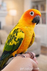 How Winter Weakens Bird Bones and What to Do About It