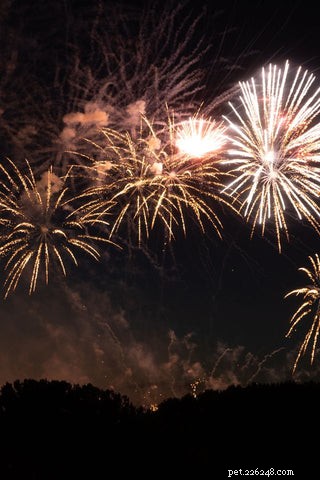 Keeping Your Cat Calm and Safe During Fireworks