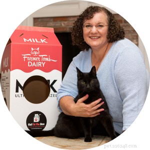 Keeping Your Cat Calm and Safe During Fireworks