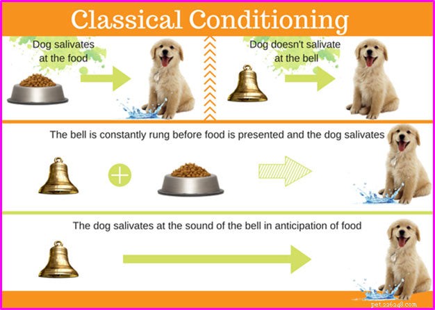 January Is National Train Your Dog Month: What You Need to Know
