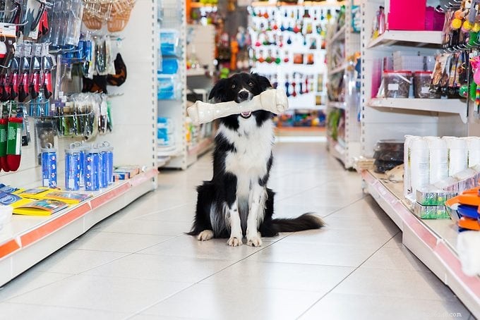 Adopting a Dog: Step‑by‑Step Guide and How to Prepare Your Home