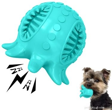 5 jouets uniques pour chiens qui flottent – Parfaits pour la piscine ou la plage