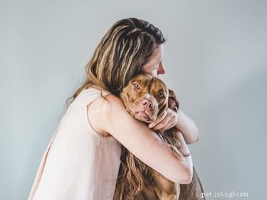 Por que meu cachorro não me abraça?