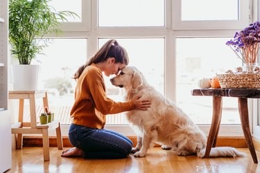 Moet je afscheid nemen van je hond als je het huis verlaat?