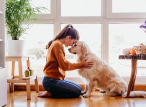 Měli byste se rozloučit se svým psem, když odejdete z domu?