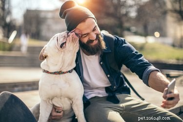 Proč někteří psi milují lízání lidí, zatímco jiní ne?