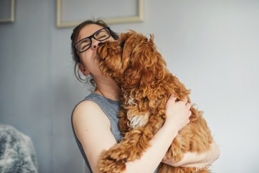 Varför älskar vissa hundar att slicka människor, medan andra inte gör det?