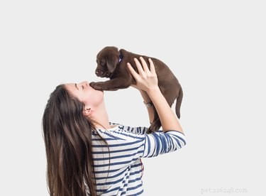 Perché alcuni cani amano leccare le persone, mentre altri no?