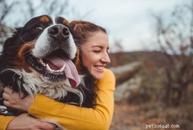 Почему люди любят собак?