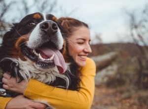 Proč lidé milují psy?