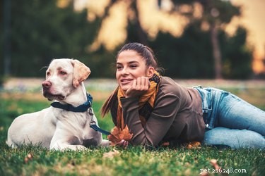 Varför älskar människor hundar?