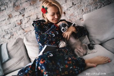 Waarom houden mensen van honden?