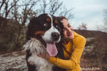 개가 감정을 속일 수 있습니까?