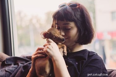 Kunnen honden verliefd worden op hun baasjes?