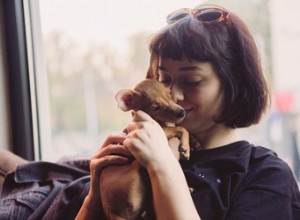 Mohou se psi zamilovat do svých majitelů?