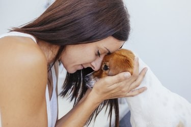Weten honden wanneer ze vervelend zijn?