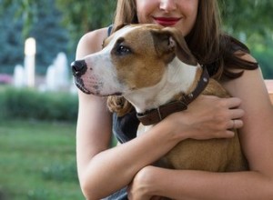 7 ошибок, которые вызывают у вашей собаки депрессию