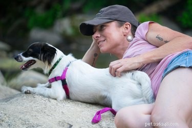 O guia de Kim Brophey para entender o comportamento dos cães é o alerta que os pais precisam