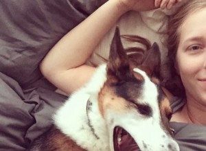 Je psí zívání nakažlivé pro lidi?