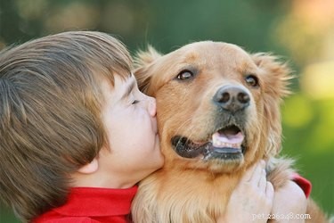 Os cães gostam de abraços e beijos?