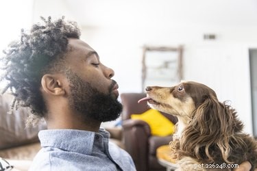 Gillar hundar kramar och kyssar?