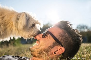 Come i cani comunicano usando il tocco
