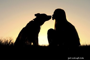 犬とのより強い絆を築く方法 