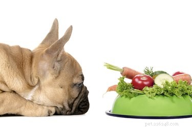 Zijn er voedingsmiddelen waar honden een hekel aan hebben?