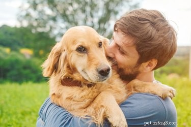 Pourquoi les chiens sont-ils si fidèles aux humains ?