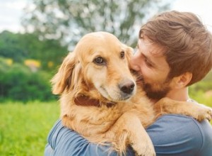 なぜ犬は人間にとても忠実なのですか？ 