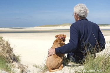 Co ovlivňuje délku života psů?