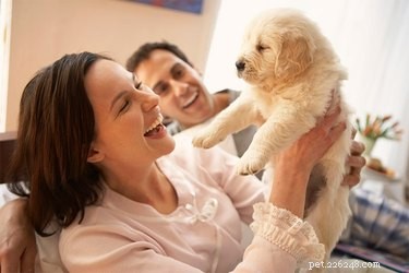 Op welke leeftijd moeten mannelijke puppy s worden gecastreerd?