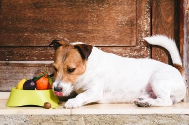 Zijn cashewnoten oké voor honden?