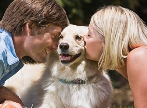 Est-il possible de tomber malade à cause d un chien ?