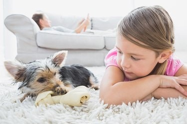 강아지가 아이들에게 으르렁거리는 이유는 무엇입니까?