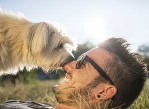 犬はどのように人間に愛情を示しますか？ 