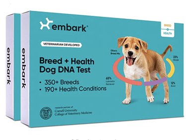Лучшие тесты ДНК для собак