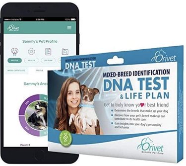 最高の犬のDNA検査 