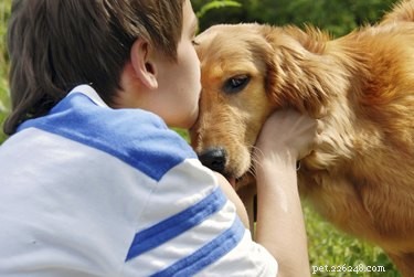 De beste hondenrassen voor autistische kinderen