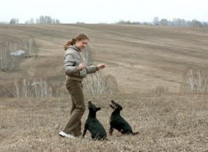 Породы собак с лучшим поведением