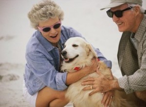 De beste honden voor mensen boven de 50