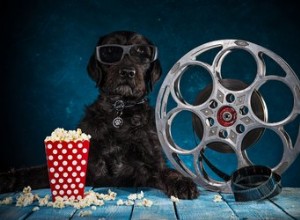 135 psích jmen inspirovaných starým Hollywoodem