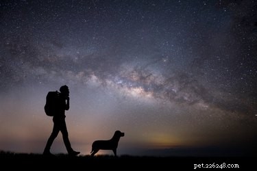 107 astrologiska namn för hundar