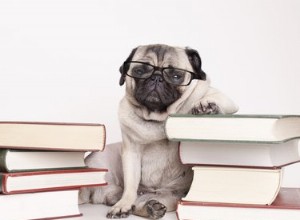 101 literárních jmen psů