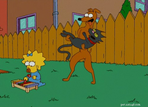 150 hondennamen geïnspireerd door The Simpsons