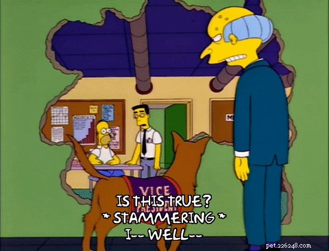 150 noms de chiens inspirés des Simpson 