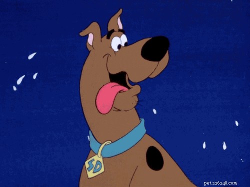 130 имен персонажей мультфильмов для собак
