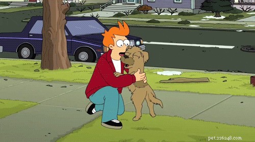 130 имен персонажей мультфильмов для собак