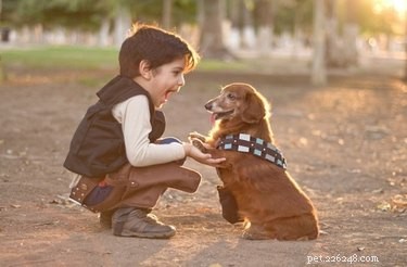 117 door Star Wars geïnspireerde hondennamen