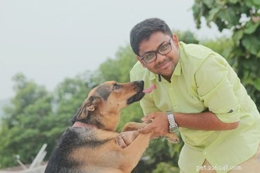 375 inspirativních indických a hinduistických jmen pro vašeho psa